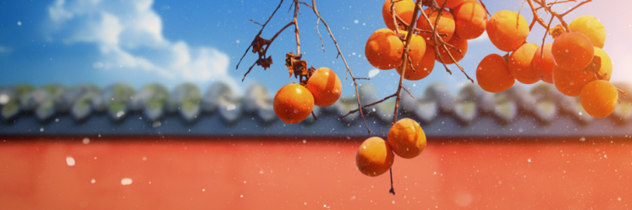 霜降 | 寒霜冬將至，補(bǔ)陽須及時(shí)