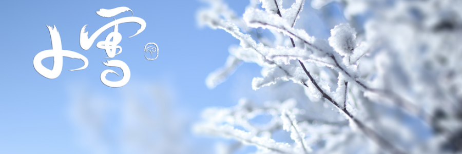 小雪丨雪落天地寒，愿君多珍重