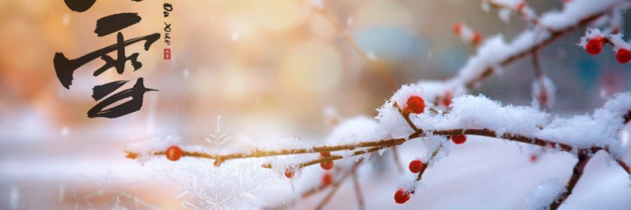 大雪丨 養(yǎng)陰護(hù)陽(yáng)，君心不忘