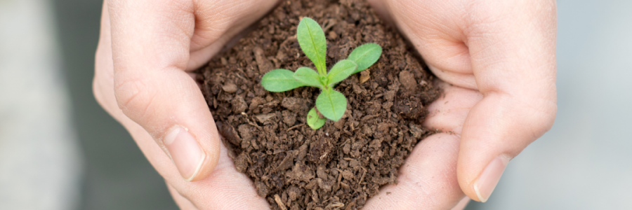 火運(yùn)不及的癸卯年，亟需補(bǔ)火護(hù)陽！