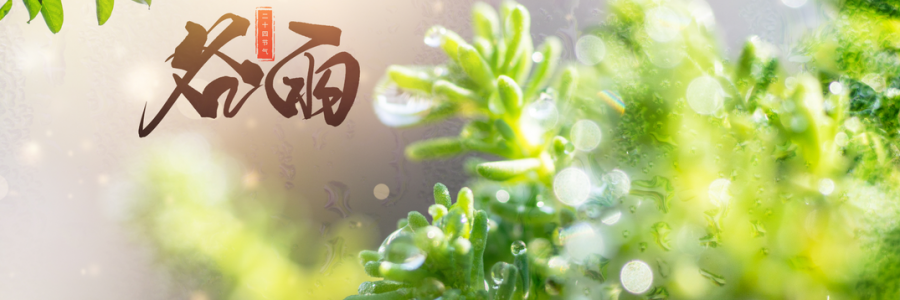 谷雨丨雨生百谷，人間向暖