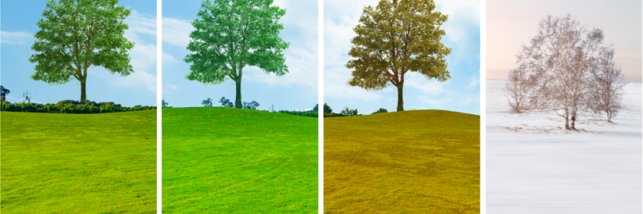 讀懂五臟五行與四季的關(guān)系，養(yǎng)生才算入門(mén)……