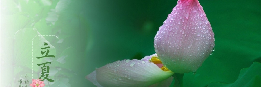 立夏 | 滿園芳立，夏色初染