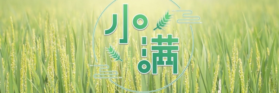 小滿 | 萬物漸豐，小得盈滿