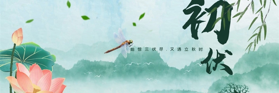 伏氣變福氣，三伏這樣灸，見效快一步！