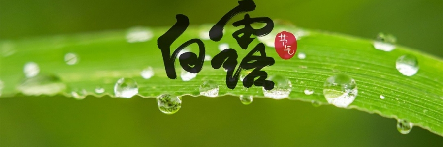 白露 | 天涼身勿露，灸火暖秋色