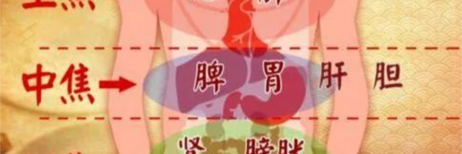 突破600億播放量的《羅剎海市》，竟然還暗藏中醫(yī)奧秘？