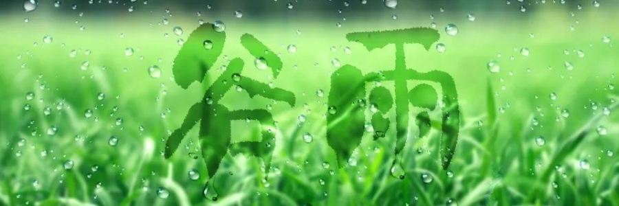 谷雨丨健脾祛濕，安然迎夏
