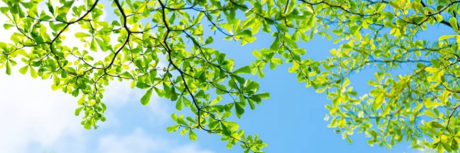 警告：夏天千萬不能做的5件事！快來看看~