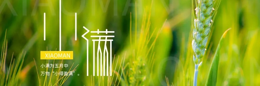 小滿丨小得盈滿，平安入夏