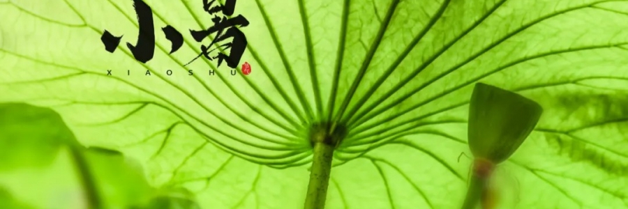 小暑丨避暑養(yǎng)心，準備入伏