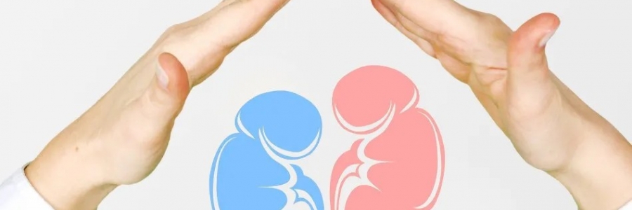 兩個人體的“長壽穴”，每天揉一揉，健康又長壽