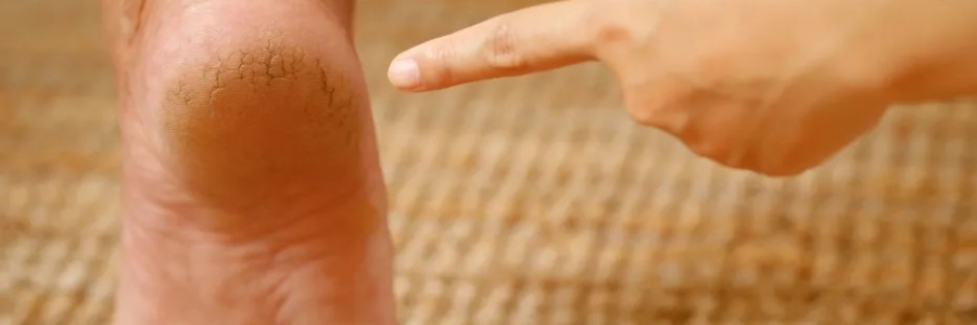 每天跺跺腳，從腳養(yǎng)到頭，越跺越年輕！