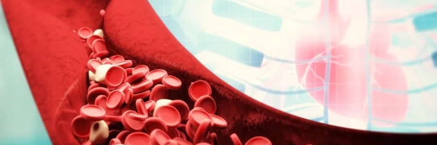 萬(wàn)病皆生于瘀，愛(ài)生病的人小心這三種“瘀毒”