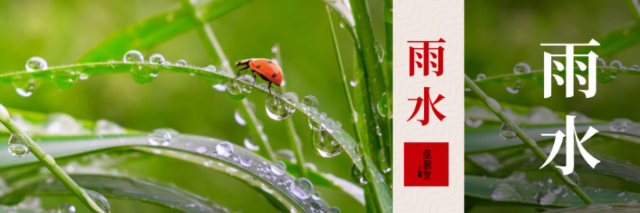 雨水 | 寒濕風(fēng)邪入，艾灸來相助