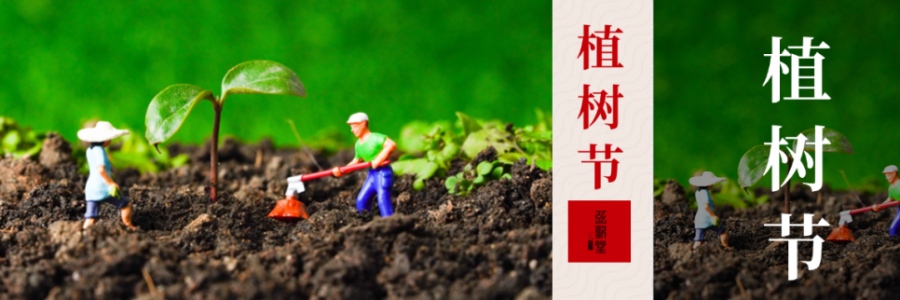 外植綠樹，內(nèi)養(yǎng)肝木，別忘給身體也“種下”護(hù)肝種子！