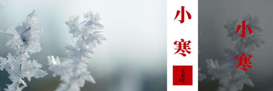 小寒 | 冰封至，寒極陽生