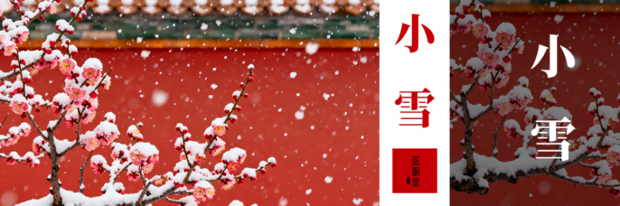 小雪｜溫潤養(yǎng)藏 ·暖御初寒